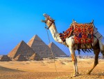 Egypt Tours