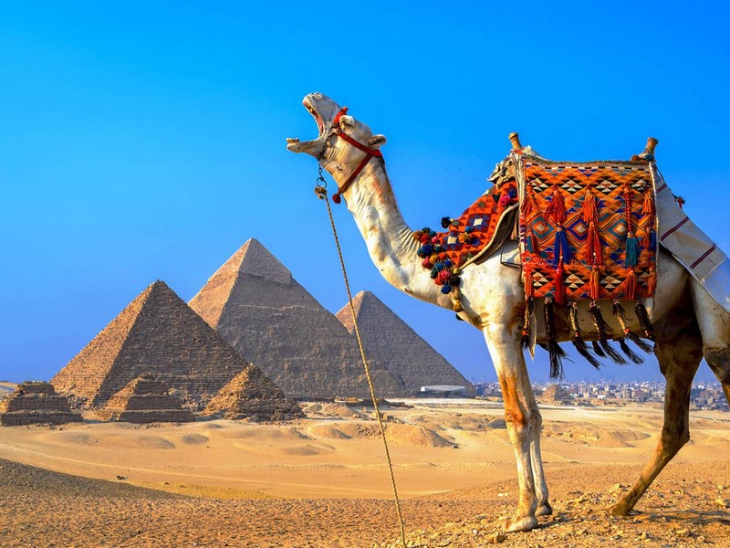 Egypt Tours